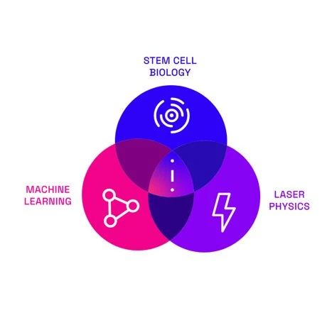 Cellino完成1600万美元种子轮融资，AI诱导多能干细胞平台