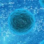 重大突破！甘波谊团队 Nature 首次报道第三种铁死亡抑制机制，提供抗癌新思路