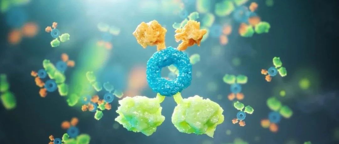泽璟制药与GENSUN签署《独家许可协议》 引进三特异抗体新药ZGGS001