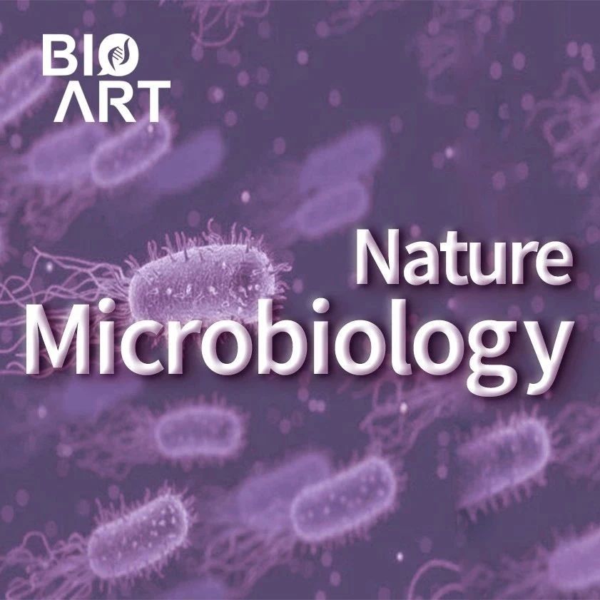 ​Nat Micro 封面丨中澳科学家发现一种全新的细胞分裂机制——古菌双重FtsZ系统