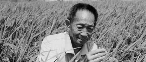 ​“杂交水稻之父”袁隆平逝世，享年91岁