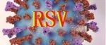 RSV候选疫苗mRNA-1345预计递交上市申请，谁将抢占下一个百亿美元市场？