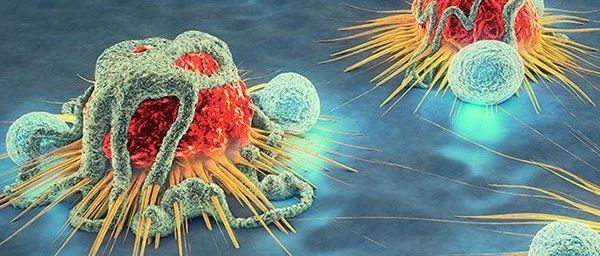 Cell：肿瘤免疫疗法新突破，髓样细胞助力抗肿瘤丨医麦新观察