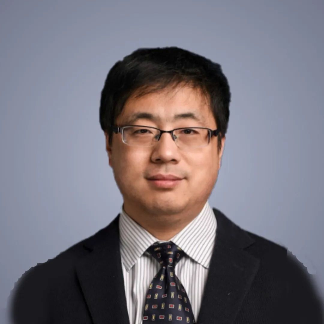 赵杨.jpg
