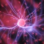 以「出汗」的方式排出脂肪！Science 揭示这种细胞因子或能逆转肥胖
