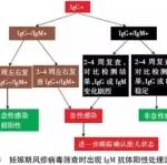 关于妊娠期TORCH筛查的53个问答