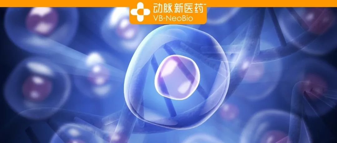 聚焦干细胞新药开发及临床转化，赛隽生物首个干细胞注射液产品获批临床