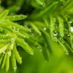 271位医药人，参加全国两会（附名单）
