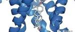结构生物学最新技术| MicroED能为共晶结构解析带来什么？