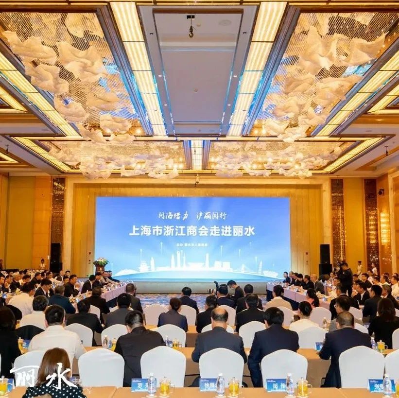 携手浙商名企 共创发展新局 我市与上海市浙江商会签署战略合作框架协议