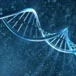 分析全球领先药企近20年的研发效率，揭示不同规模药企的生存之道