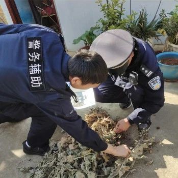 安全丨无人机上阵铲毒,“无毒环境”你我共建！