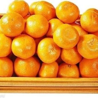 首日销量9万斤！今起再添两个点位，有你家附近的吗？