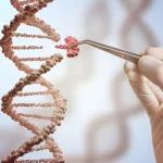 生物制药面面观：腺相关病毒在基因治疗的研究进展和未来应用