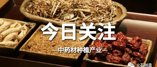 规范化与集聚化并行，中药材种植产业高质量发展步伐加快！