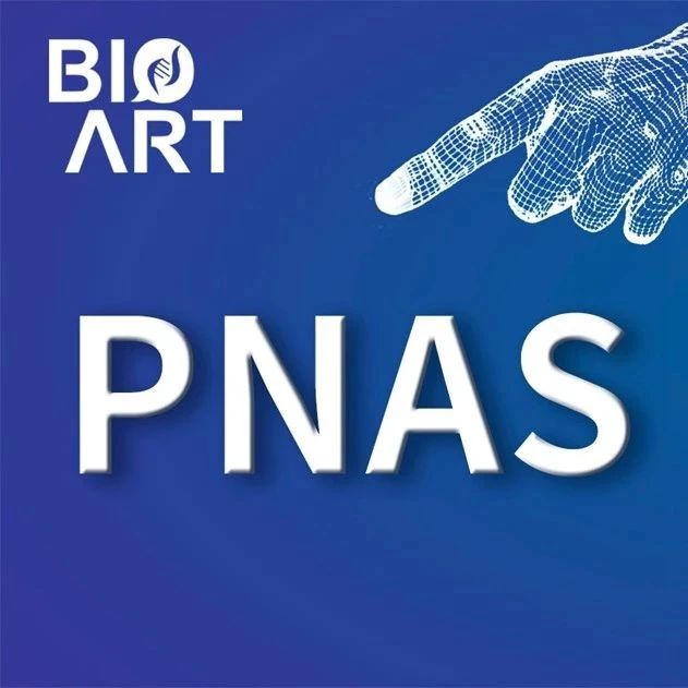 PNAS | 舒友生团队发现神经调控新策略