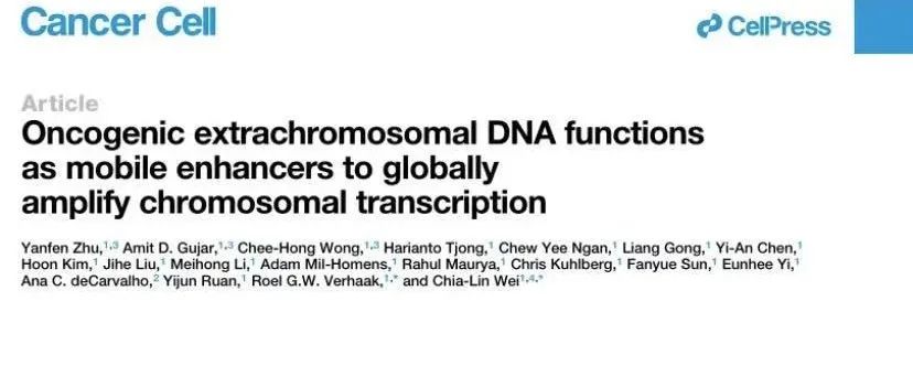 Cancer cell | 三维基因组技术揭示“染色体外环状DNA”可调控癌基因表达,有望成为肿瘤新靶点