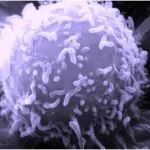 Science：重大突破！开发出识别癌细胞表面上蛋白抗原表达水平的 CAR-T细胞，有望用于实体瘤治疗