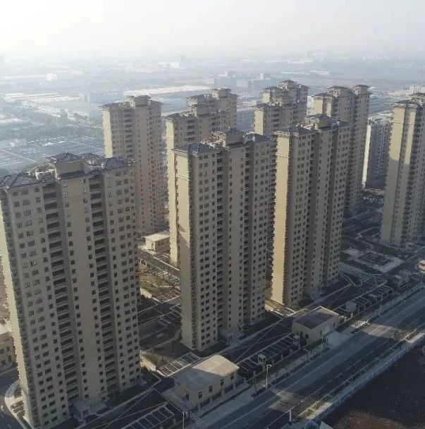 喜报！奉发项目荣获上海市“白玉兰”奖