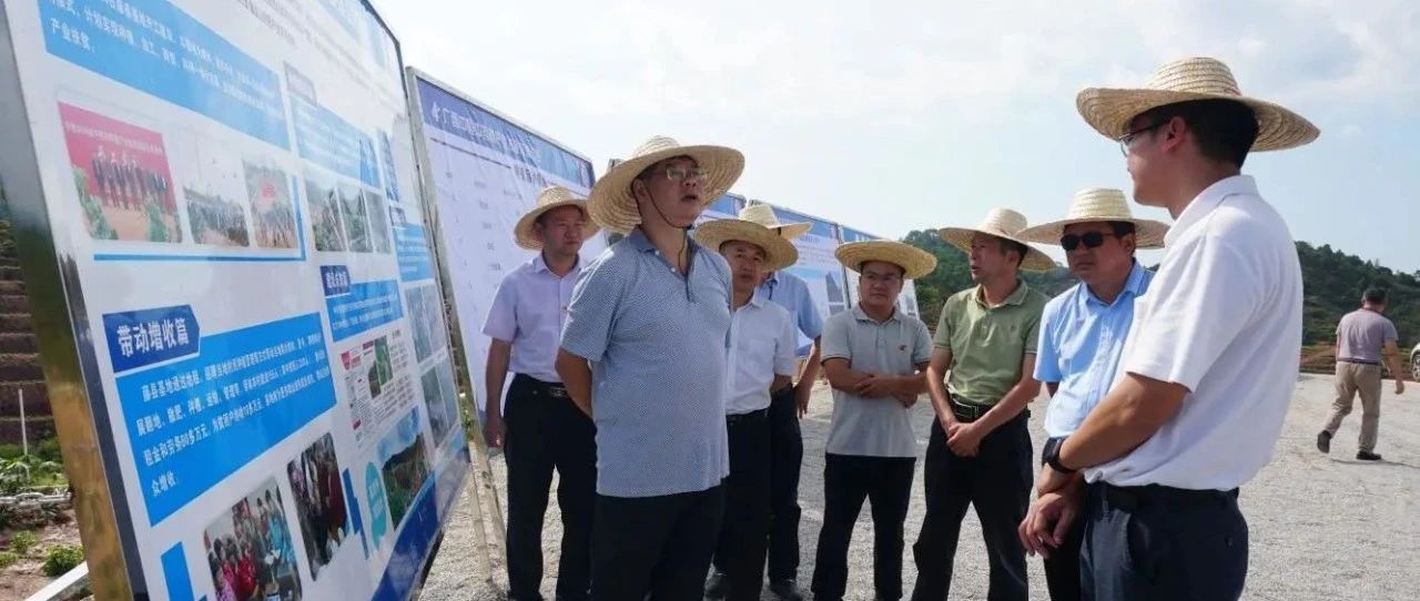 自治区国资委到中恒中药材产业扶贫创新示范基地调研