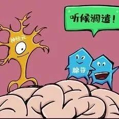 睡眠质量好不好，关键看它！中国科学家最新研究成果来了