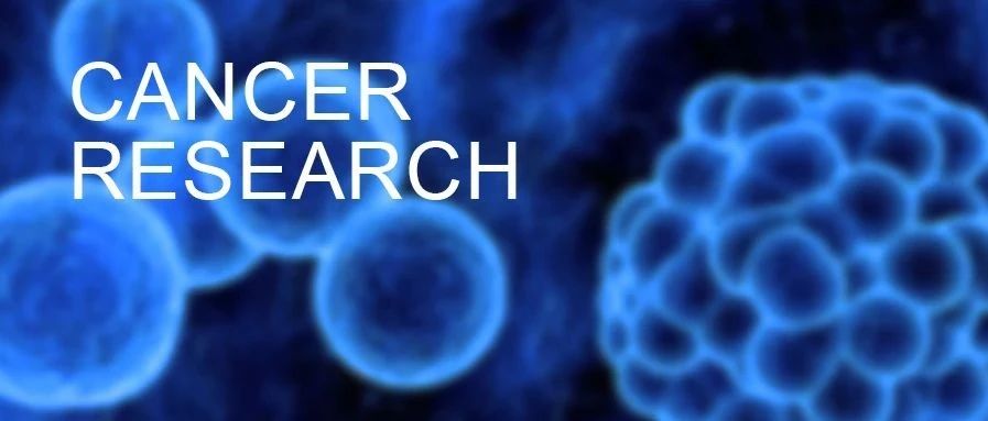 ​Cancer Res | 整合多组学揭示低级别浆液性卵巢癌中MEKi治疗敏感相关标志物及新型治疗靶标