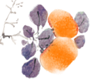 柿子.png