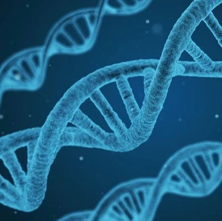 临床急需!「布罗索尤单抗」获批上市,X 连锁低磷血症