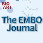 EMBO J | 潘东宁/唐慧儒合作揭示天冬酰胺可促进脂肪细胞产热和糖酵解