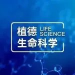 植德写意丨暂停采购未过评品种——再说仿制药质量和疗效一致性评价