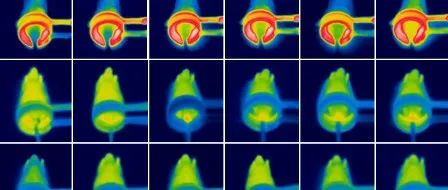 第三种男性避孕方法？中国科学家研发“磁控纳米避孕”新技术，将小鼠生育幼崽可能性至少降低30天 | 专访
