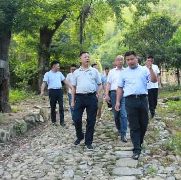 中国林学会专家组莅临泰顺开展竹产业与林下经济发展专题调研