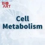 Cell Metab | 房静远/洪洁/陈豪燕团队揭示肠道菌群通过介导宿主尿素循环代谢途径影响结直肠癌的发生