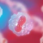 Nature：浙江大学科学家领衔揭示蛋白TANGO2调节细胞中的血红素转运