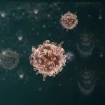 BioNews | 天境生物：Uliledlimab联合Atezolizumab治疗晚期实体瘤2期试验中完成首批两名患者给药