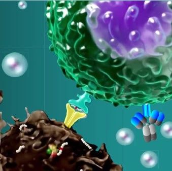 重磅！礼进生物完成由IDG资本领投的数亿元人民币C轮融资