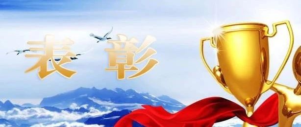 又获奖了！市发改委离退休干部第九党支部荣获市级表彰