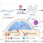 突破传统疫苗研发思路！浙江大学唐睿康团队利用壳聚糖凝胶开发野生活毒新型疫苗