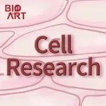 Cell Research | 秦成峰/英博合作开发“长效型”新冠病毒mRNA抗体