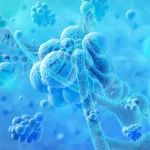 Nature子刊：我国科学家揭示干细胞衍生性外泌体修复缺血性肌肉损伤机制