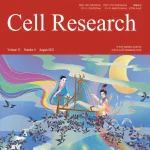 Cell Research封面文章丨杨运桂/刘峰合作揭示早期胚胎发育中RNA解旋酶Ddx3xb相分离调控母源mRNA翻译机制