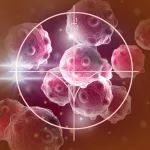 厚积薄发：替雷利珠单抗一线联合化疗治疗鼻咽癌III期临床研究 （RATIONALE 309）中期分析达到主要研究终点