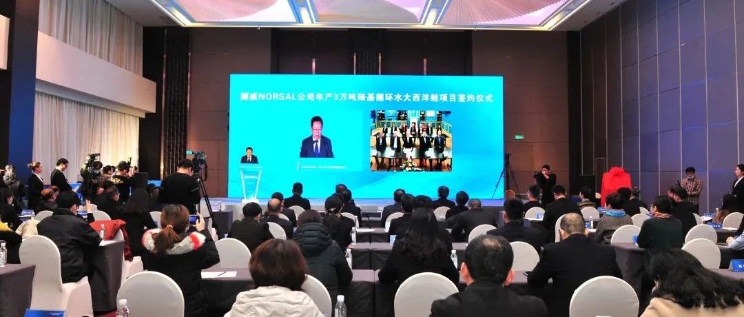 总投资4亿美元！烟台开发区举行挪威海洋牧场项目签约仪式