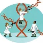 致力于自主可控的新型基因编辑，齐禾生科完成超亿元Pre-A轮融资
