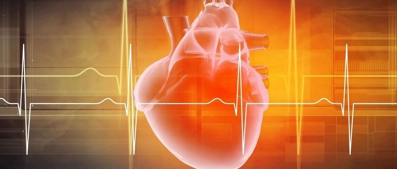 挑战近100年来科学界研究共识！科学家揭示人类机体心率夜间变慢的原因和分子机理！