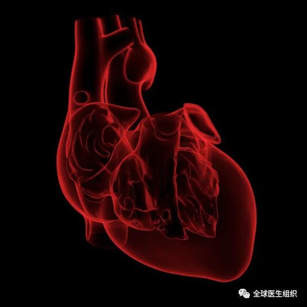 |必读|最新研究报告揭示没有所谓"新冠病毒心脏病"