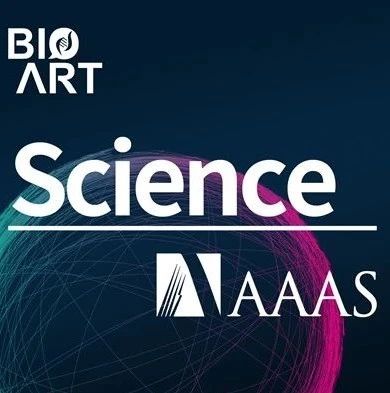 Science | 抗衰老新策略！抑制谷氨酰胺分解清除衰老细胞并改善衰老相关症状