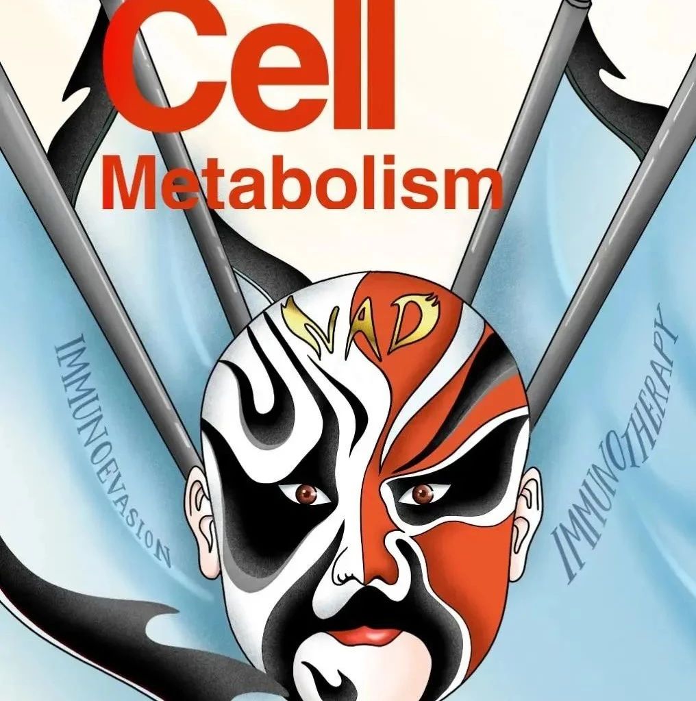 Cell Metabolism：中国科学家揭示，抗衰老新宠【烟酰胺】能改善癌症免疫治疗效果