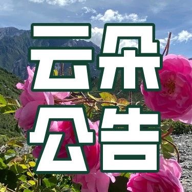 云朵公告|关于“遇见玫好”礼盒价格的公告