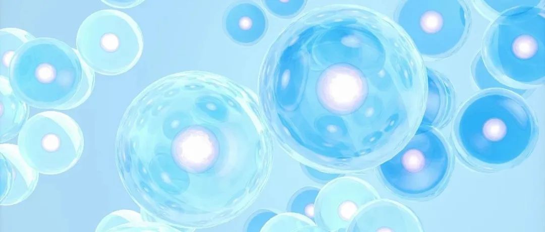 有望实现零的突破！PNAS：新研究揭示细胞组织供氧原理，改善组织氧合药物的研发迎来曙光！